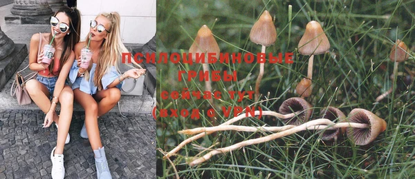 MESCALINE Абаза