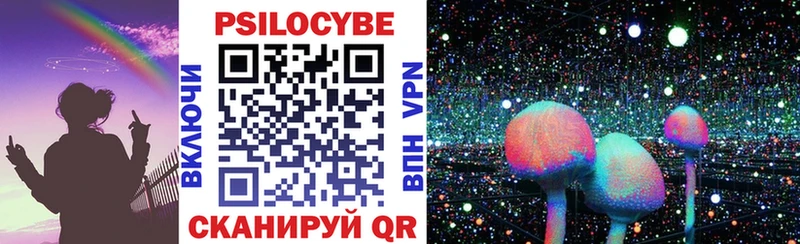 Галлюциногенные грибы Psilocybine cubensis Рыльск
